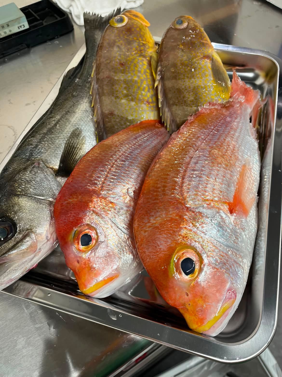 鳥取直送鮮魚やお野菜を使った料理